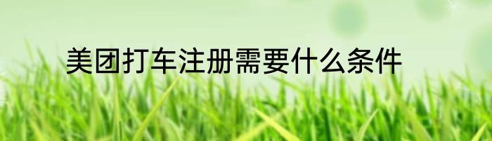 美团打车注册需要什么条件
