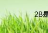 2B是什么意思