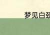 梦见白颈鸦有什么预兆