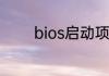 bios启动项无硬盘但pe里有