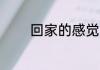 回家的感觉的简短句子24句