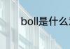 boll是什么意思boll怎么读音