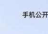 手机公开版是什么意思