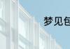 梦见包有哪些寓意