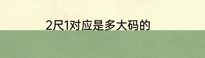 2尺1对应是多大码的