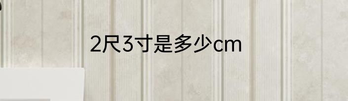 2尺3寸是多少cm