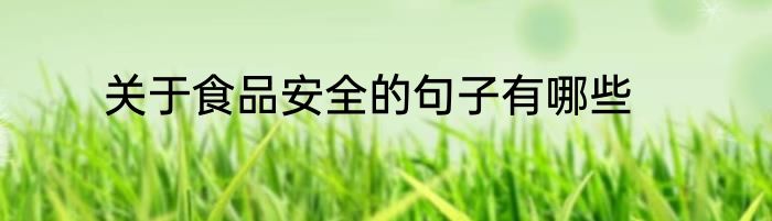 关于食品安全的句子有哪些