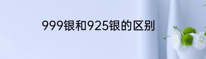 999银和925银的区别