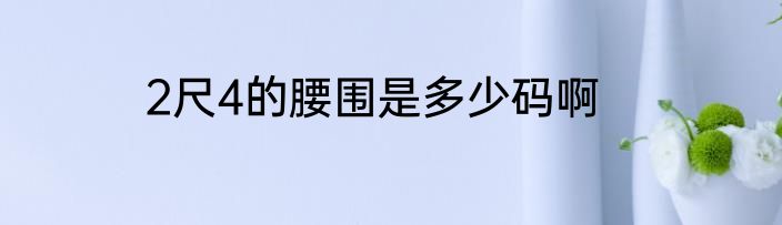 2尺4的腰围是多少码啊
