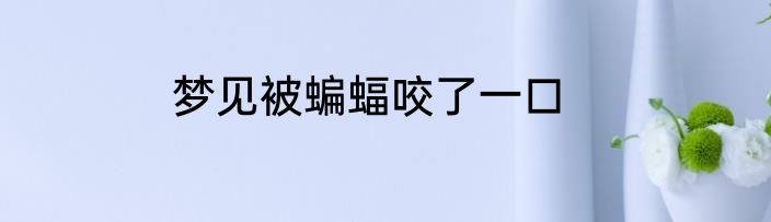 梦见被蝙蝠咬了一口