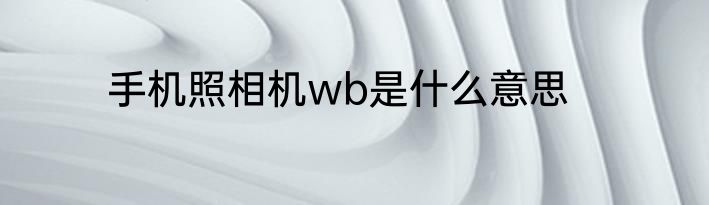 手机照相机wb是什么意思
