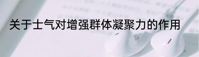 关于士气对增强群体凝聚力的作用