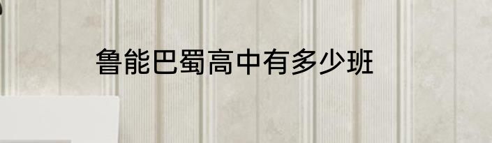 鲁能巴蜀高中有多少班