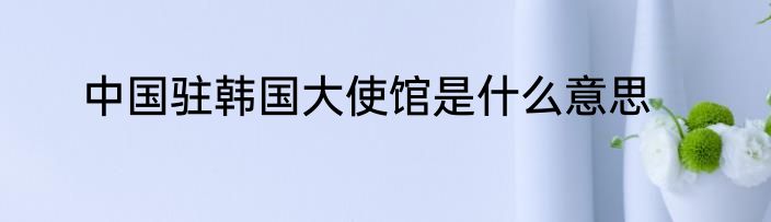 中国驻韩国大使馆是什么意思