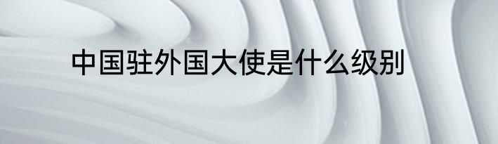 中国驻外国大使是什么级别