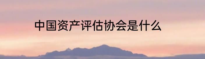 中国资产评估协会是什么