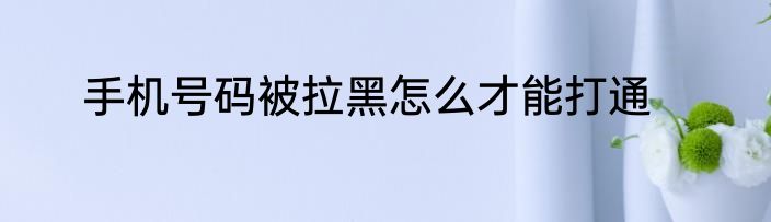 手机号码被拉黑怎么才能打通