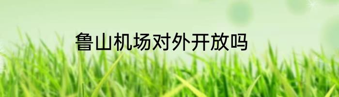 鲁山机场对外开放吗