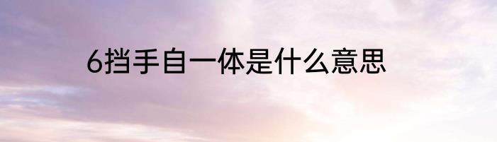 6挡手自一体是什么意思