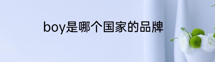 boy是哪个国家的品牌
