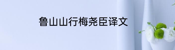 鲁山山行梅尧臣译文