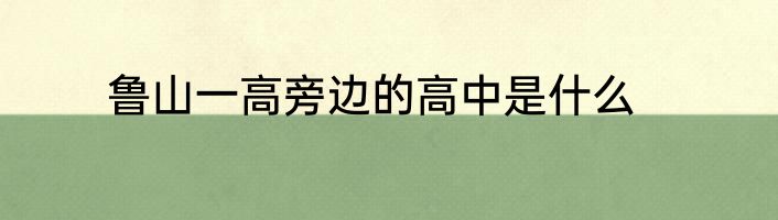 鲁山一高旁边的高中是什么