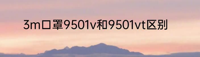 3m口罩9501v和9501vt区别