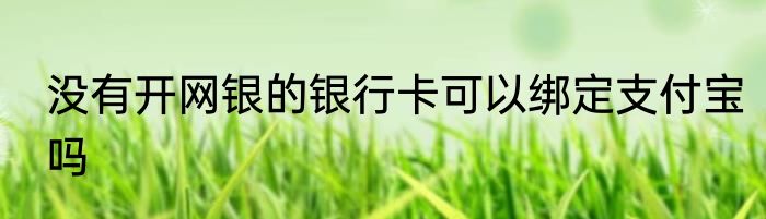 没有开网银的银行卡可以绑定支付宝吗