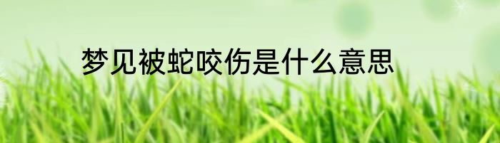 梦见被蛇咬伤是什么意思