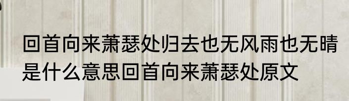 回首向来萧瑟处归去也无风雨也无晴是什么意思回首向来萧瑟处原文