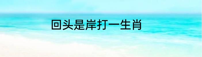 回头是岸打一生肖