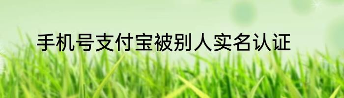 手机号支付宝被别人实名认证
