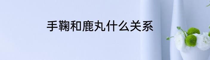 手鞠和鹿丸什么关系
