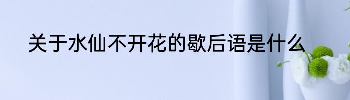 关于水仙不开花的歇后语是什么