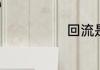 回流是什么意思
