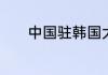 中国驻韩国大使馆是什么意思