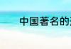中国著名的刑法学教授有哪些