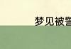梦见被警察抓预示什么