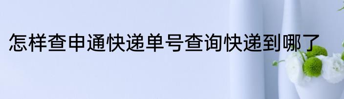 怎样查申通快递单号查询快递到哪了