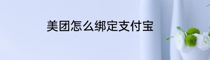 美团怎么绑定支付宝