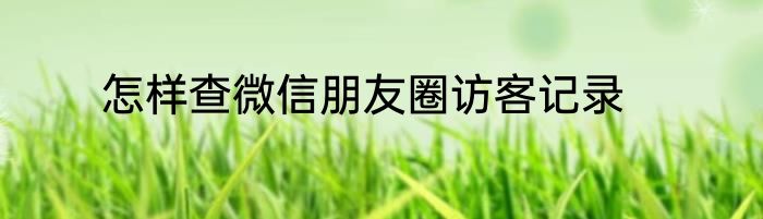 怎样查微信朋友圈访客记录