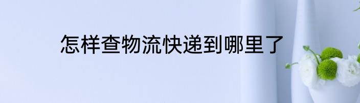 怎样查物流快递到哪里了