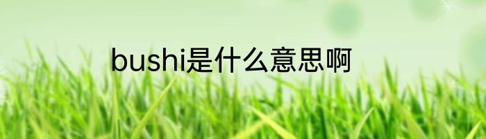 bushi是什么意思啊