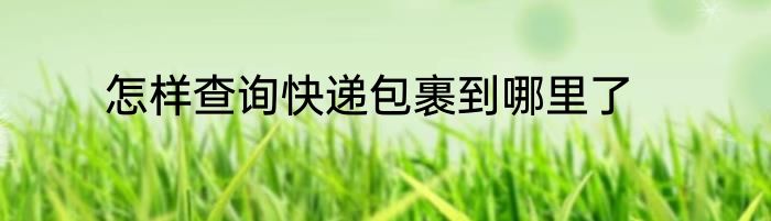 怎样查询快递包裹到哪里了