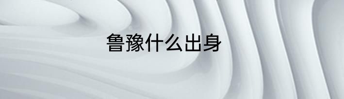 鲁豫什么出身