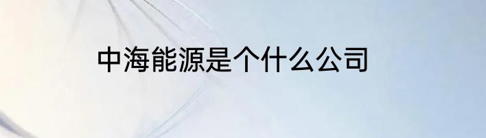 中海能源是个什么公司