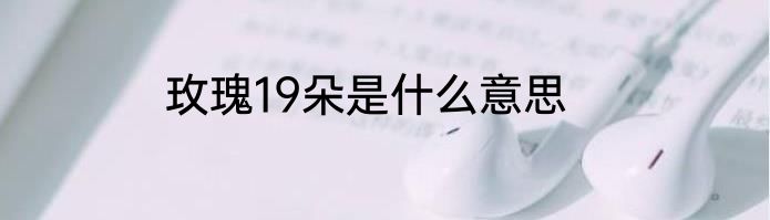 玫瑰19朵是什么意思