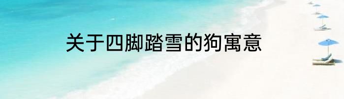 关于四脚踏雪的狗寓意