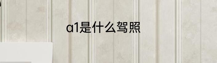 a1是什么驾照