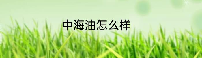 中海油怎么样
